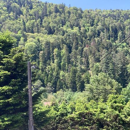 L Annexe Villa Mittlach Dış mekan fotoğraf
