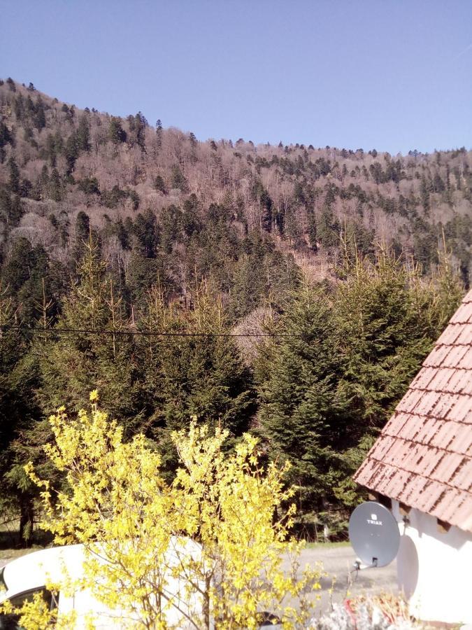 L Annexe Villa Mittlach Dış mekan fotoğraf