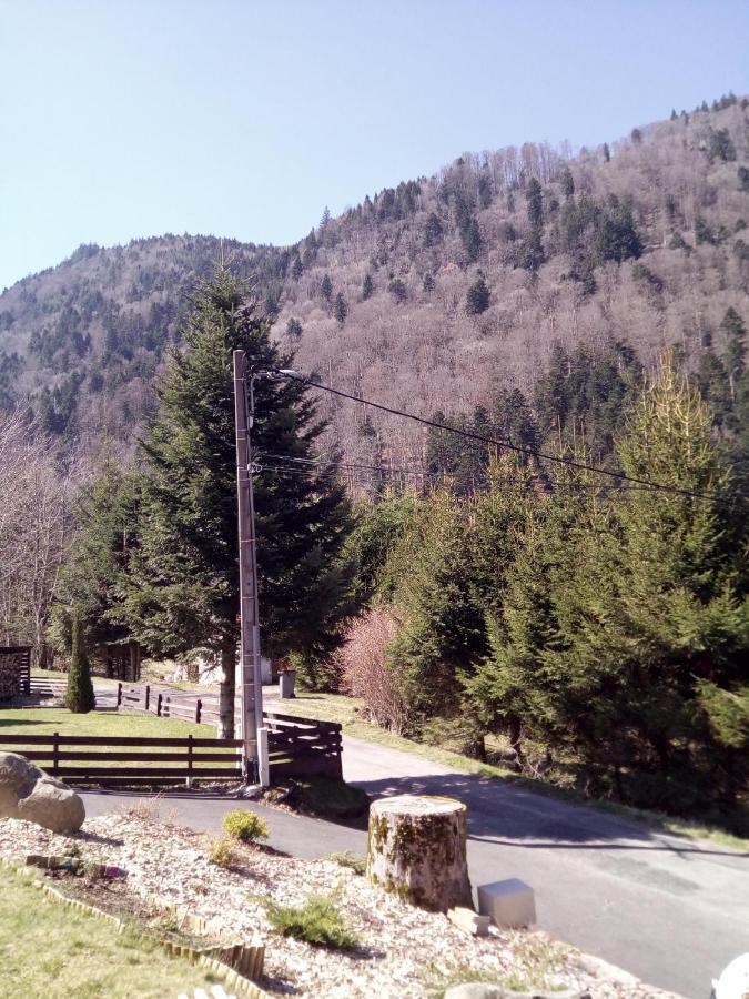 L Annexe Villa Mittlach Dış mekan fotoğraf