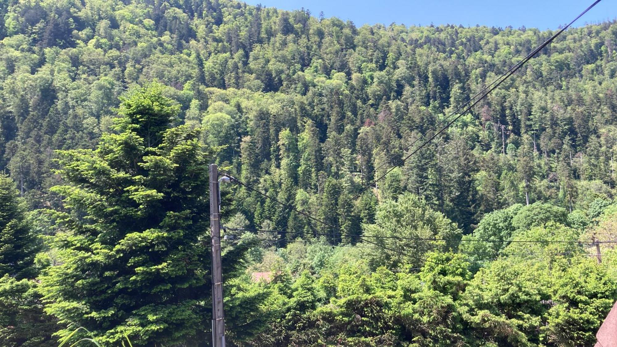 L Annexe Villa Mittlach Dış mekan fotoğraf